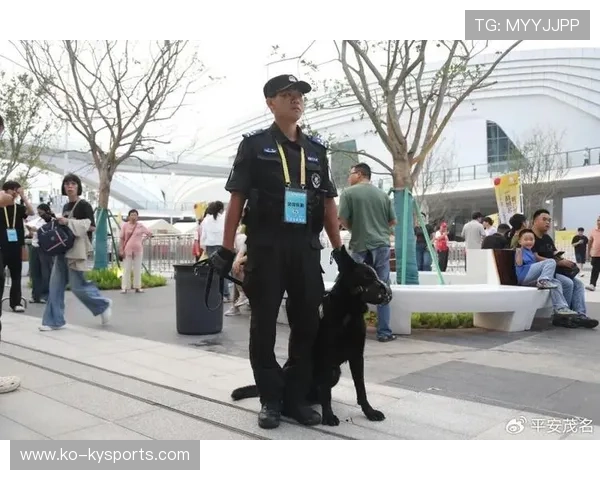 球场安保升级，提升观赛安全体验